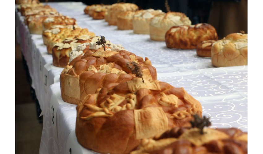 Основна школа Бора Лазић Влашка Array