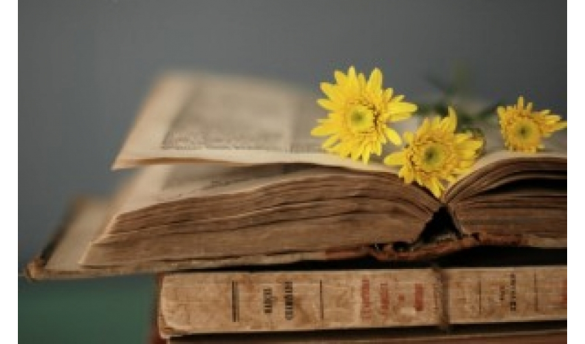 Основна школа Бора Лазић Влашка Међународни дан књиге за децу