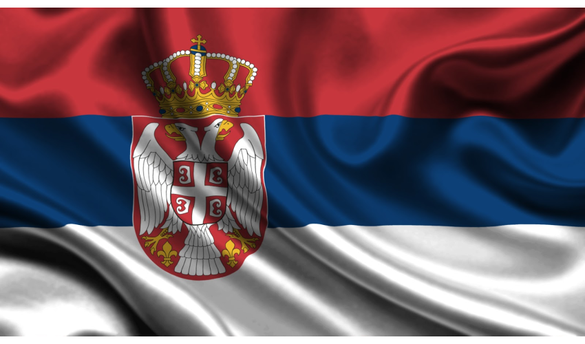 Основна школа Бора Лазић Влашка Дан српског јединства, слободе и националне заставе
