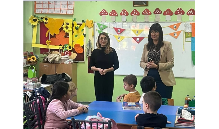 Основна школа Бора Лазић Влашка Array