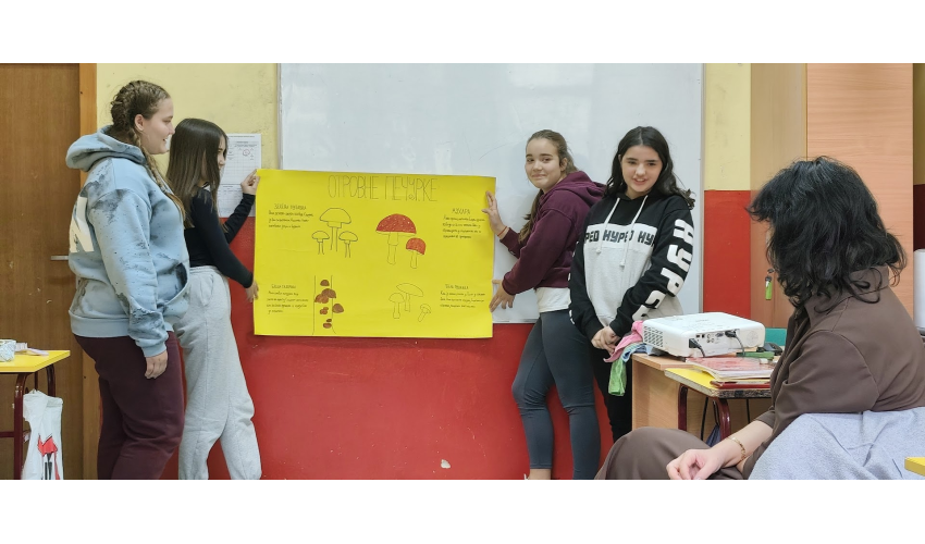 Основна школа Бора Лазић Влашка Array